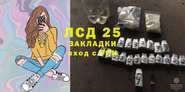 прущие грибы Арсеньев