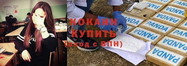 прущие грибы Арсеньев